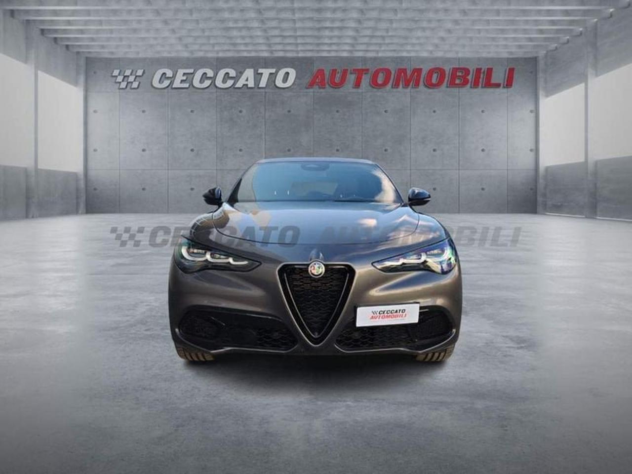 Alfa Romeo Alfa Romeo Stelvio usata 20