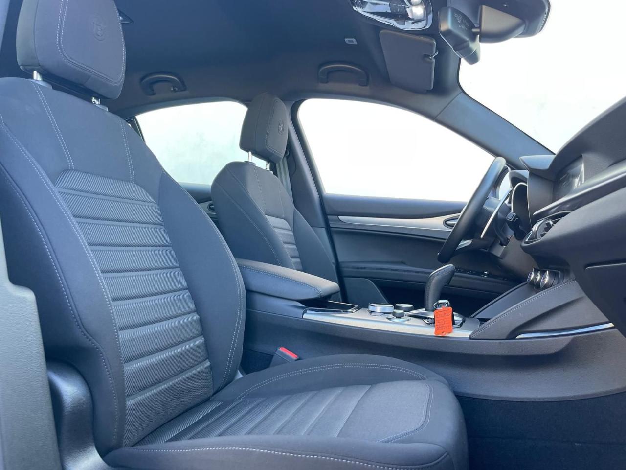 Alfa Romeo Alfa Romeo Stelvio usata 9