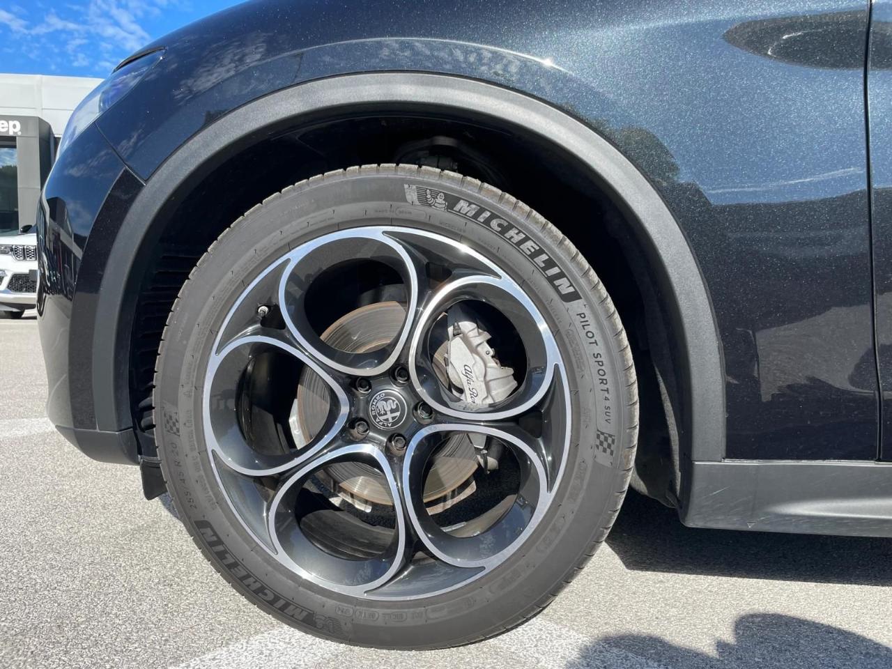Alfa Romeo Alfa Romeo Stelvio usata 21