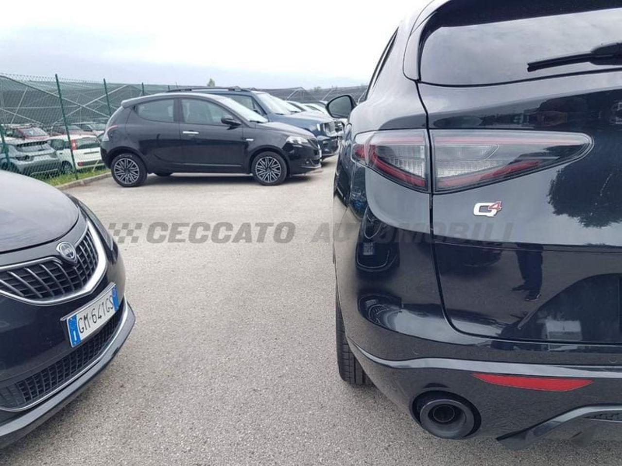 Alfa Romeo Alfa Romeo Stelvio usata 10