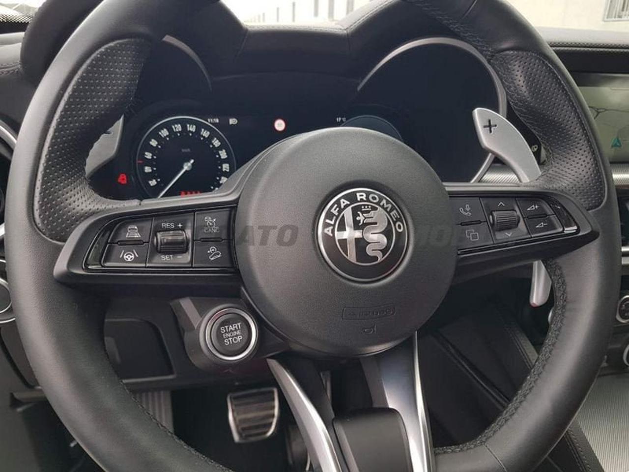 Alfa Romeo Alfa Romeo Stelvio usata 15