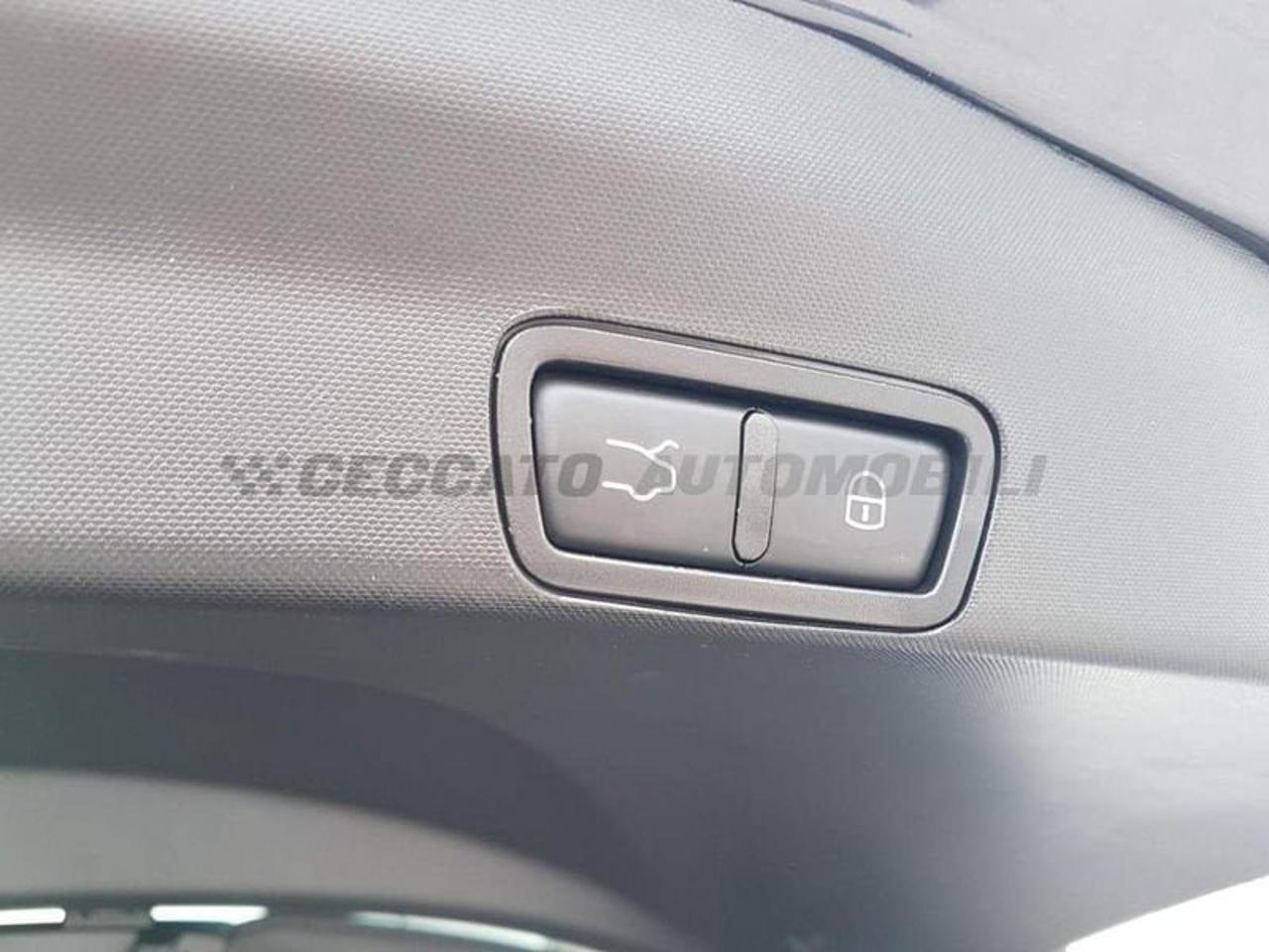 Alfa Romeo Alfa Romeo Stelvio usata 17