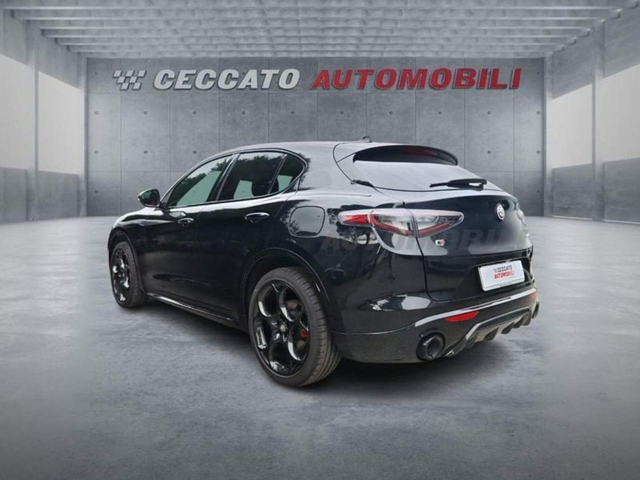 Alfa Romeo Alfa Romeo Stelvio usata 19