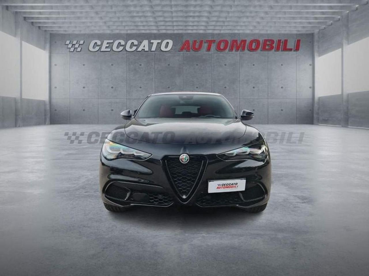 Alfa Romeo Alfa Romeo Stelvio usata 20