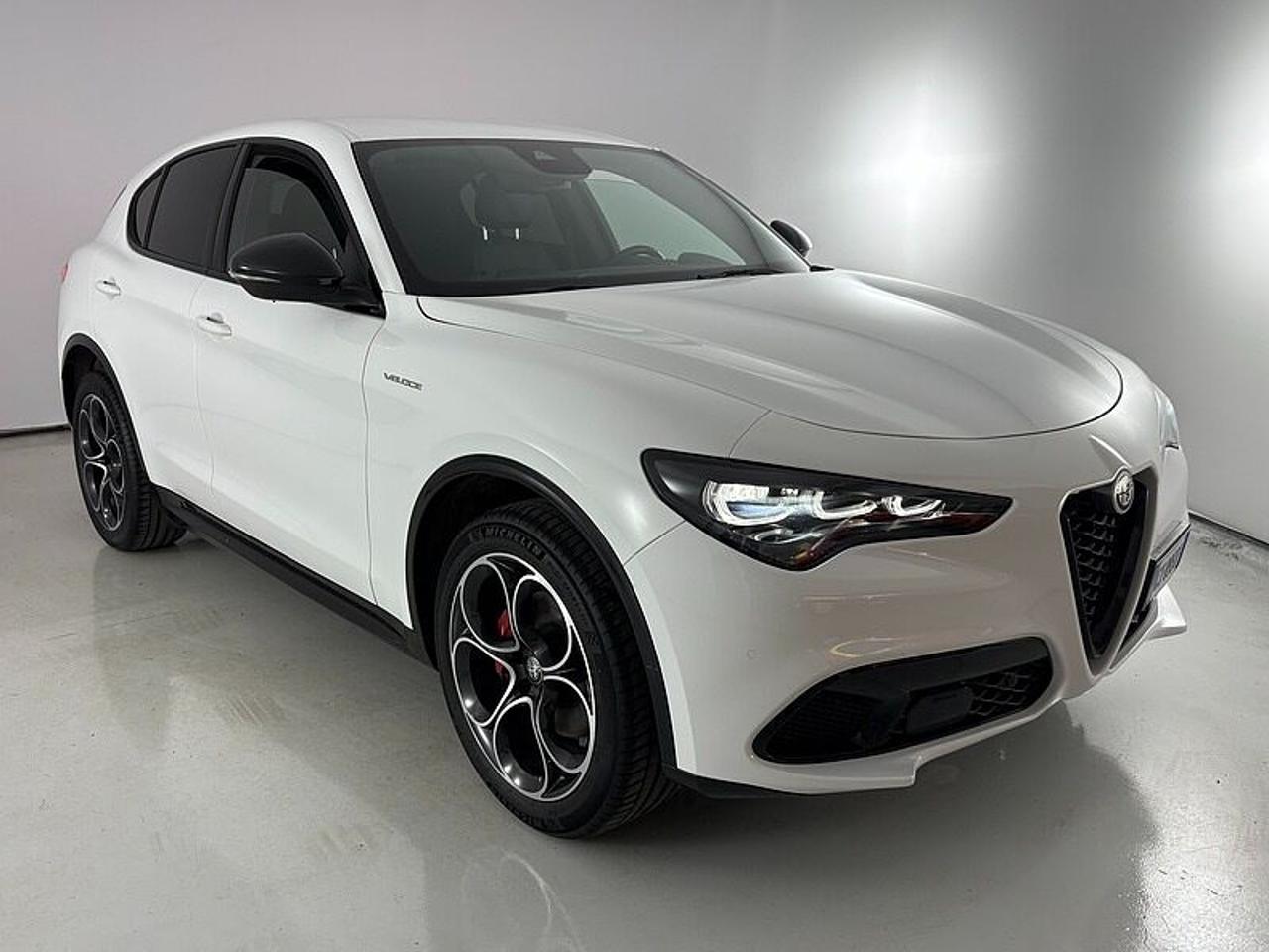 Alfa Romeo Alfa Romeo Stelvio usata 21