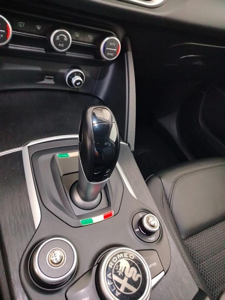 Alfa Romeo Alfa Romeo Stelvio usata 14