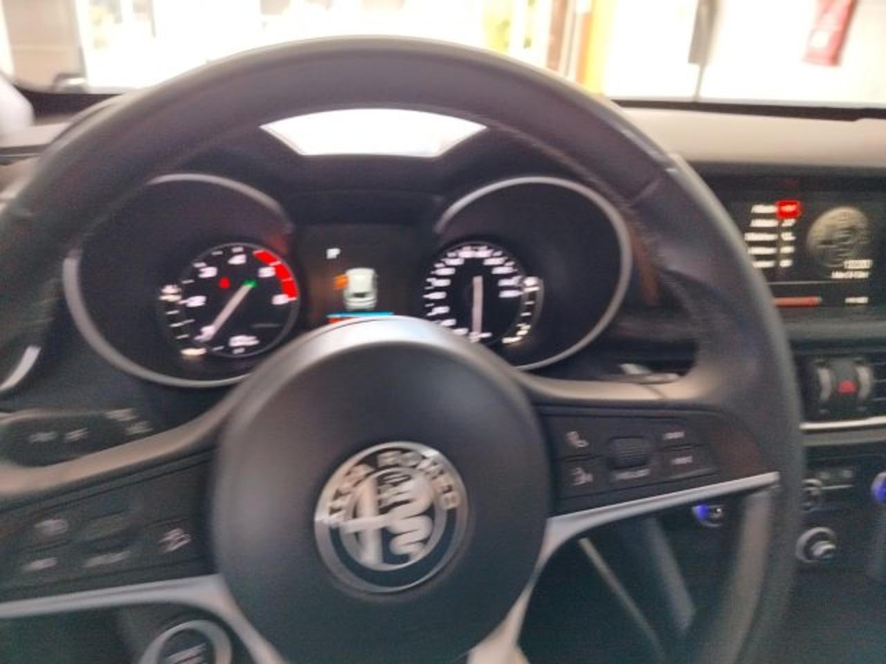 Alfa Romeo Alfa Romeo Stelvio usata 17
