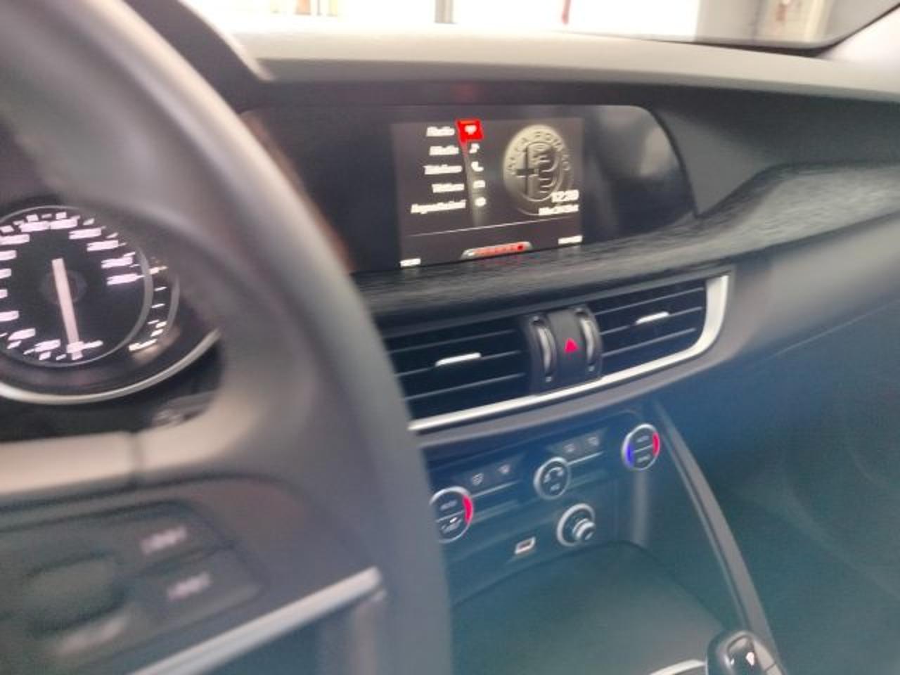 Alfa Romeo Alfa Romeo Stelvio usata 18