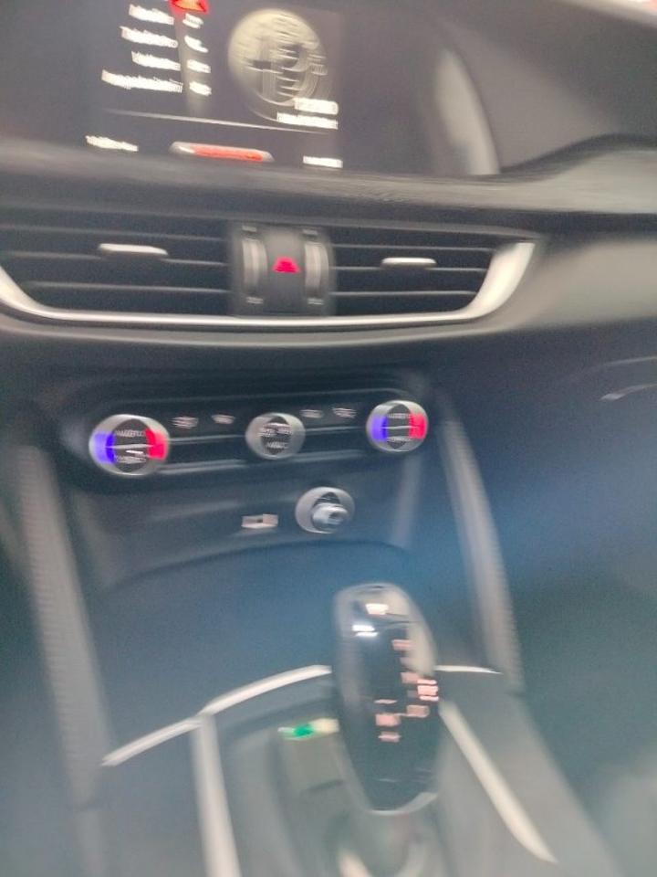 Alfa Romeo Alfa Romeo Stelvio usata 20