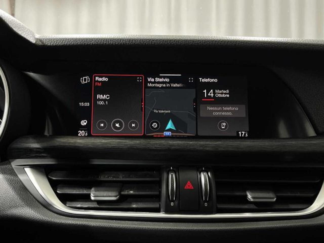 Alfa Romeo Alfa Romeo Stelvio usata 13