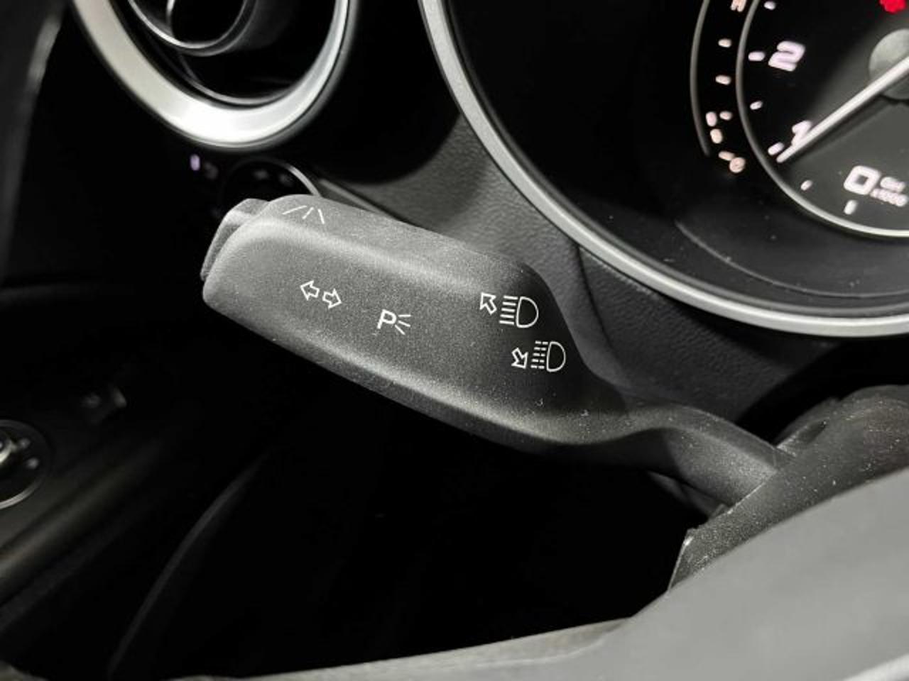 Alfa Romeo Alfa Romeo Stelvio usata 19