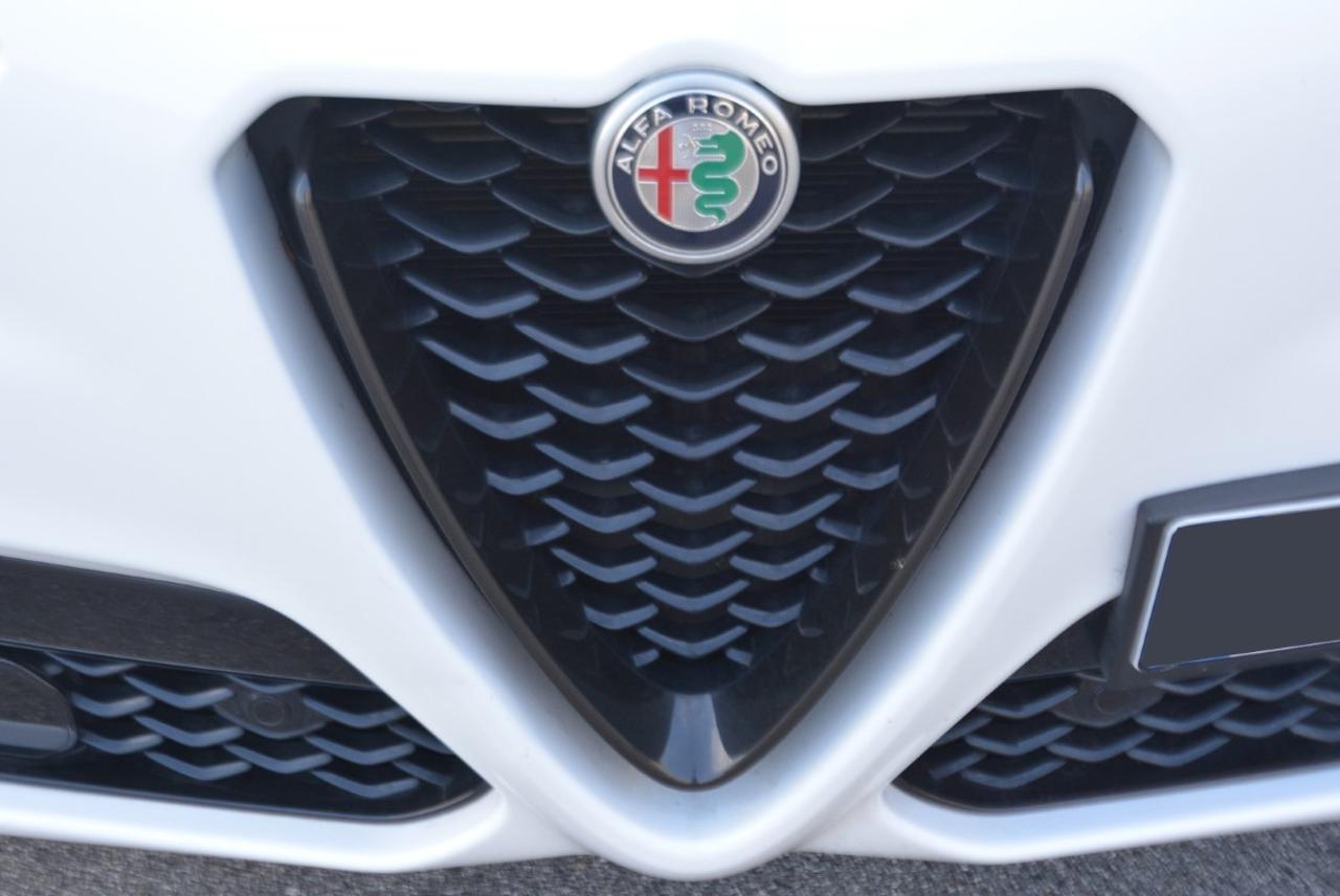 Alfa Romeo Alfa Romeo Stelvio usata 13