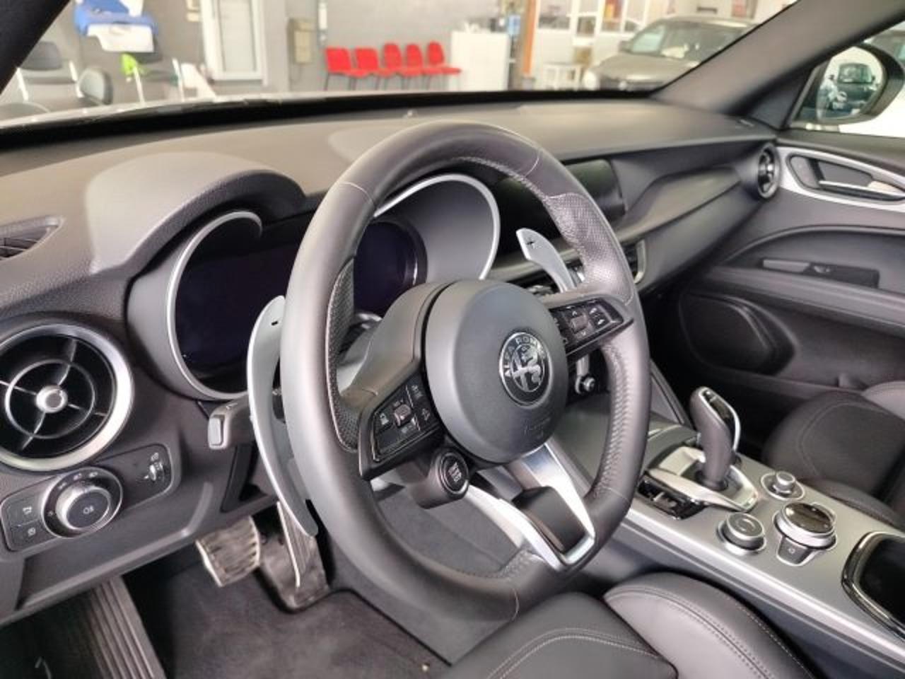 Alfa Romeo Alfa Romeo Stelvio usata 18