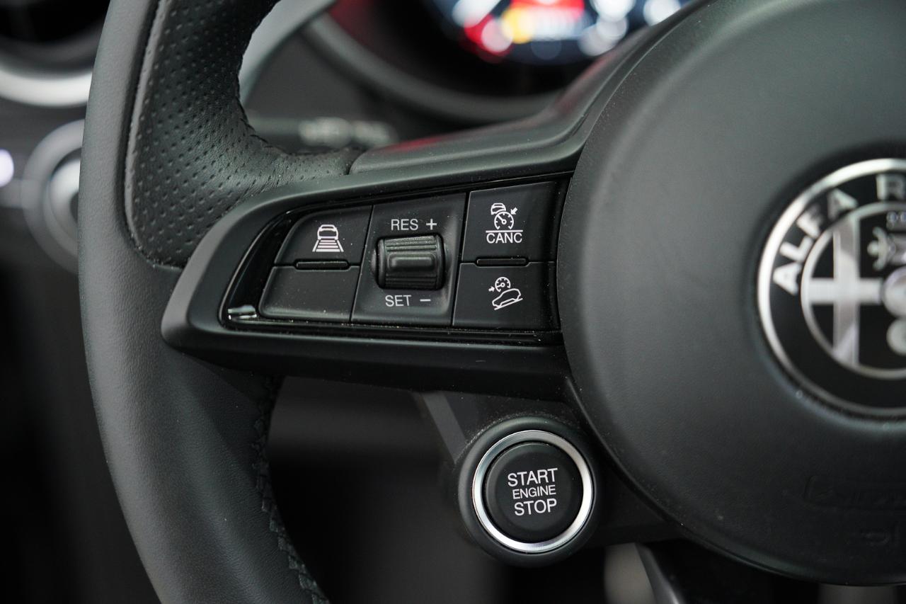 Alfa Romeo Alfa Romeo Stelvio usata, con navigatore