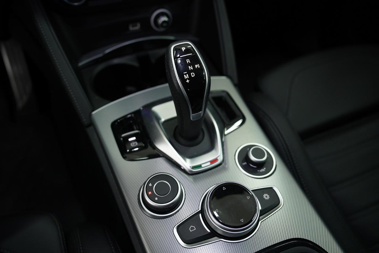 Alfa Romeo Alfa Romeo Stelvio usata 9