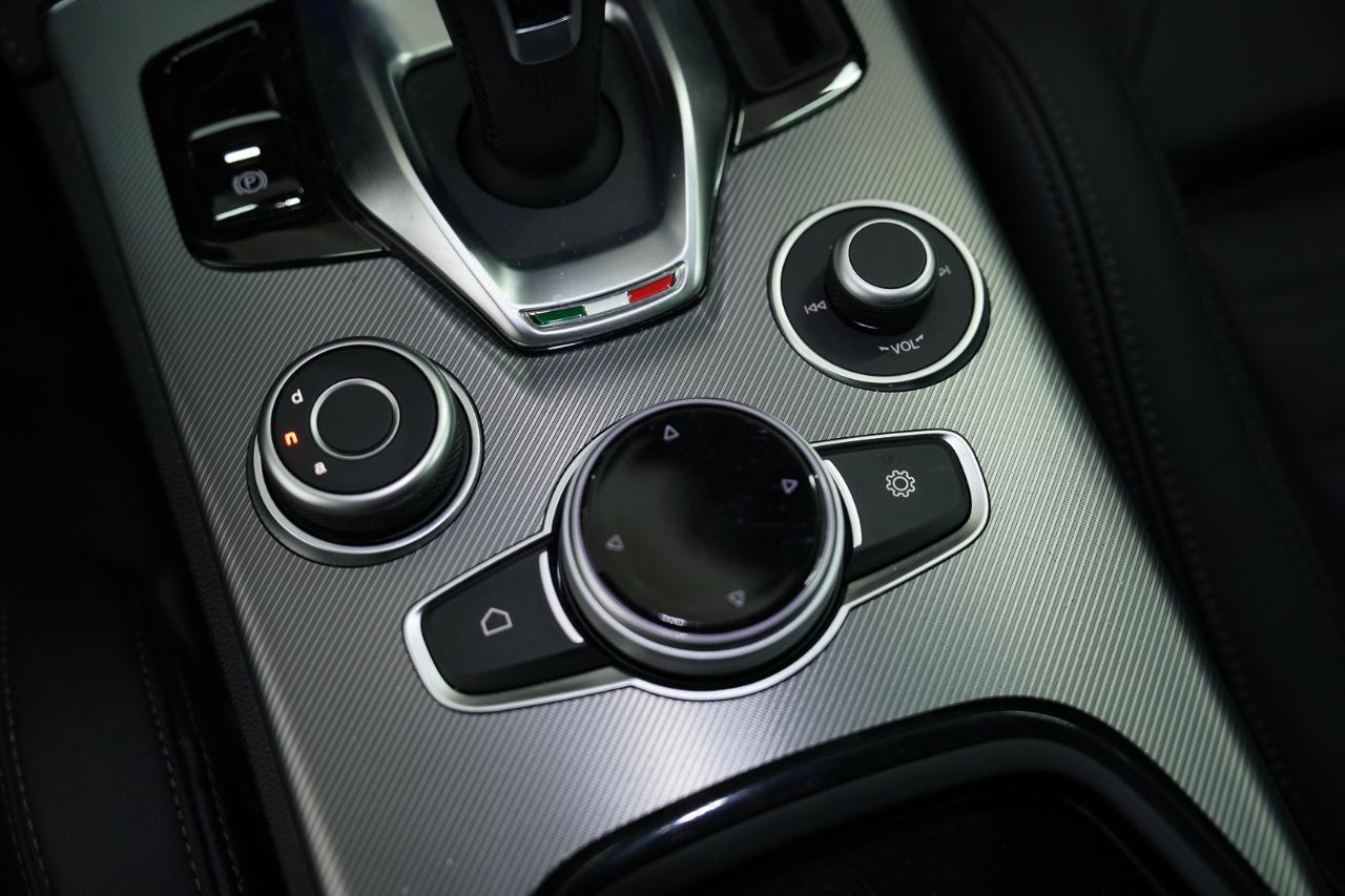 Alfa Romeo Alfa Romeo Stelvio usata 10