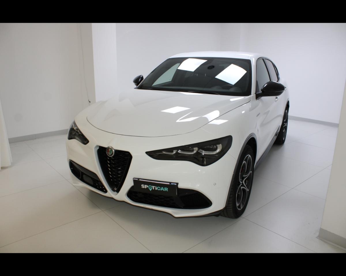 Alfa Romeo Alfa Romeo Stelvio usata 13