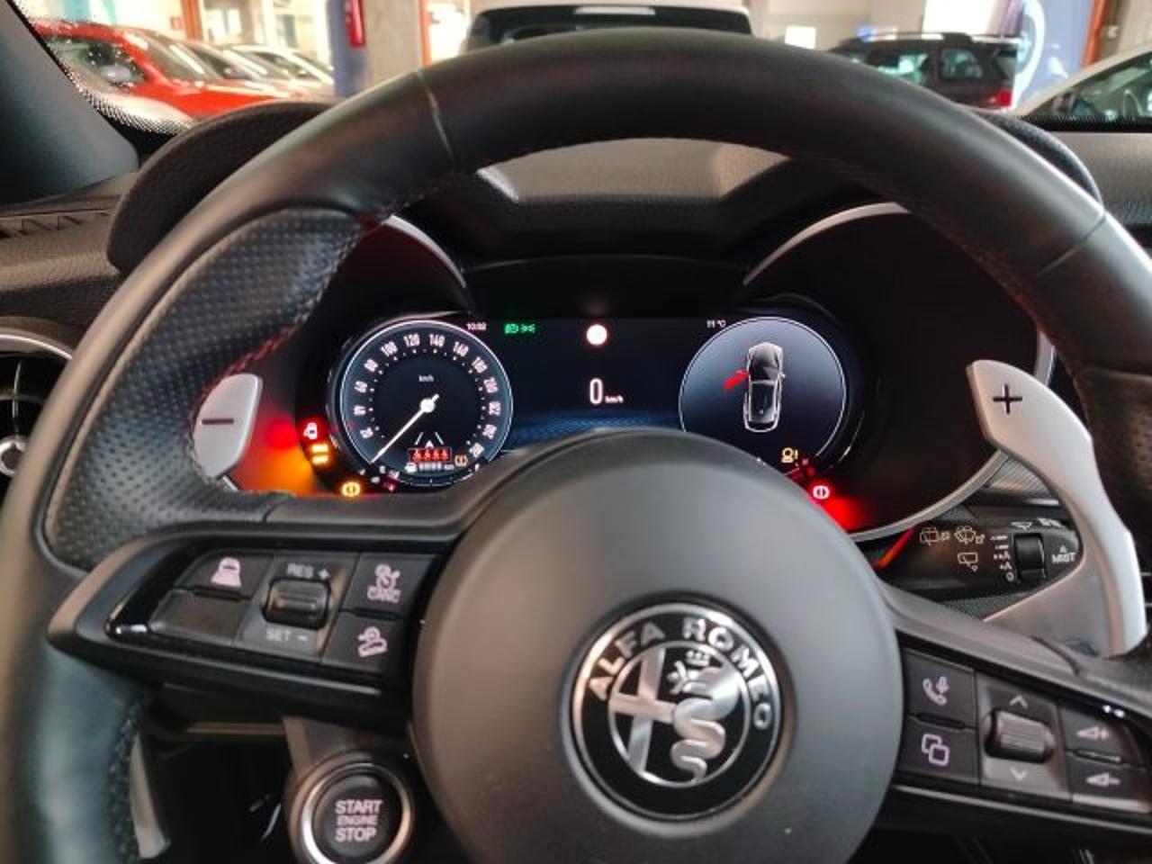 Alfa Romeo Alfa Romeo Stelvio usata 15