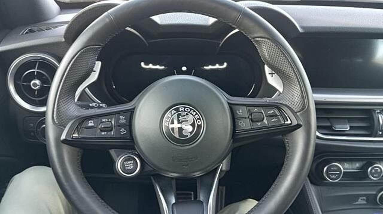 Alfa Romeo Alfa Romeo Stelvio usata 28