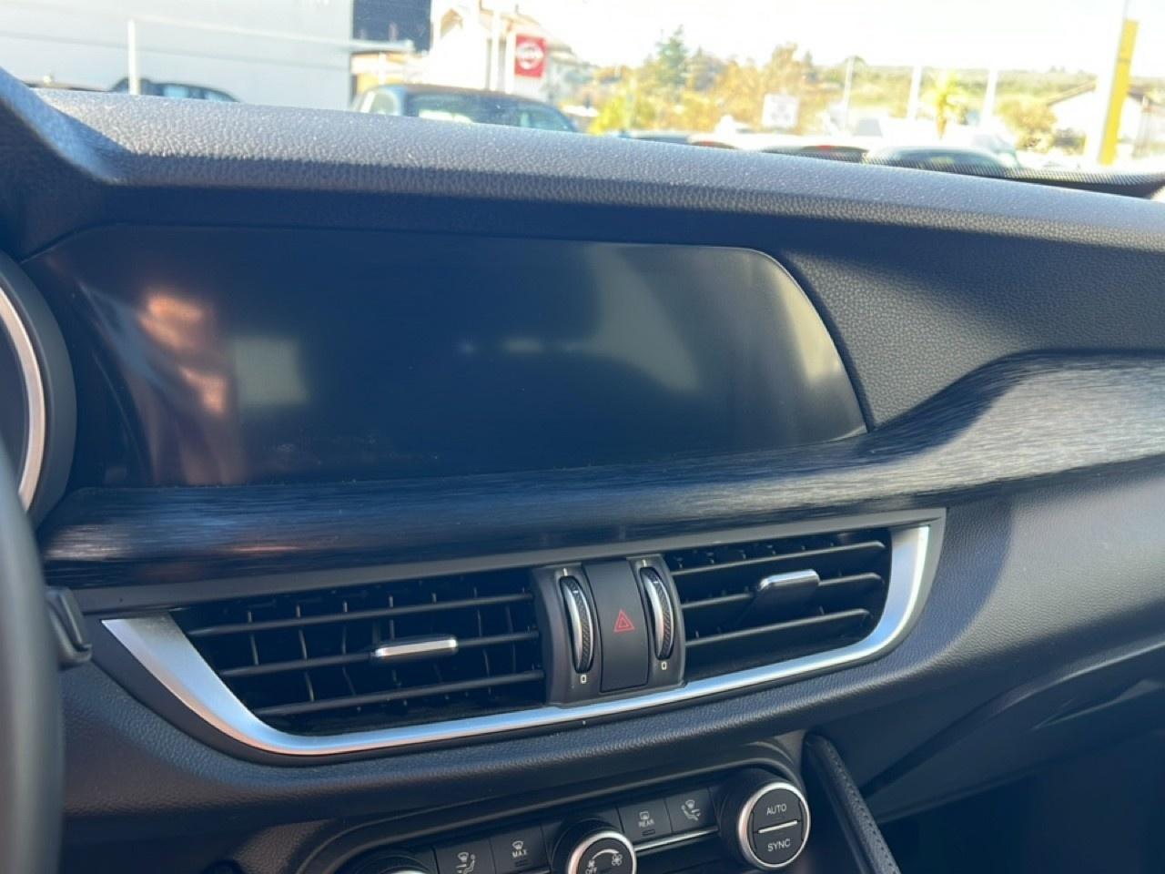 Alfa Romeo Alfa Romeo Stelvio usata 7