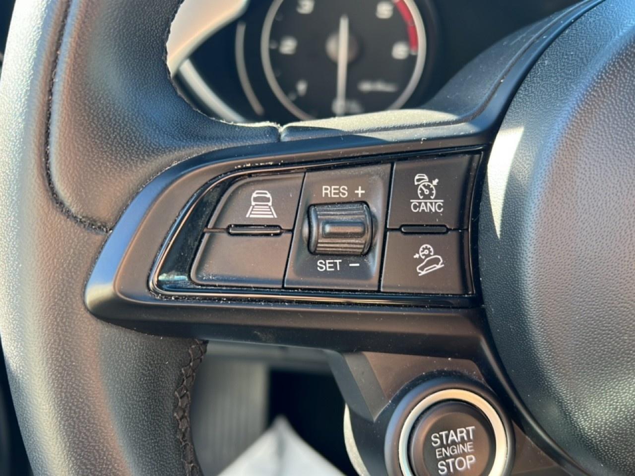 Alfa Romeo Alfa Romeo Stelvio usata 12