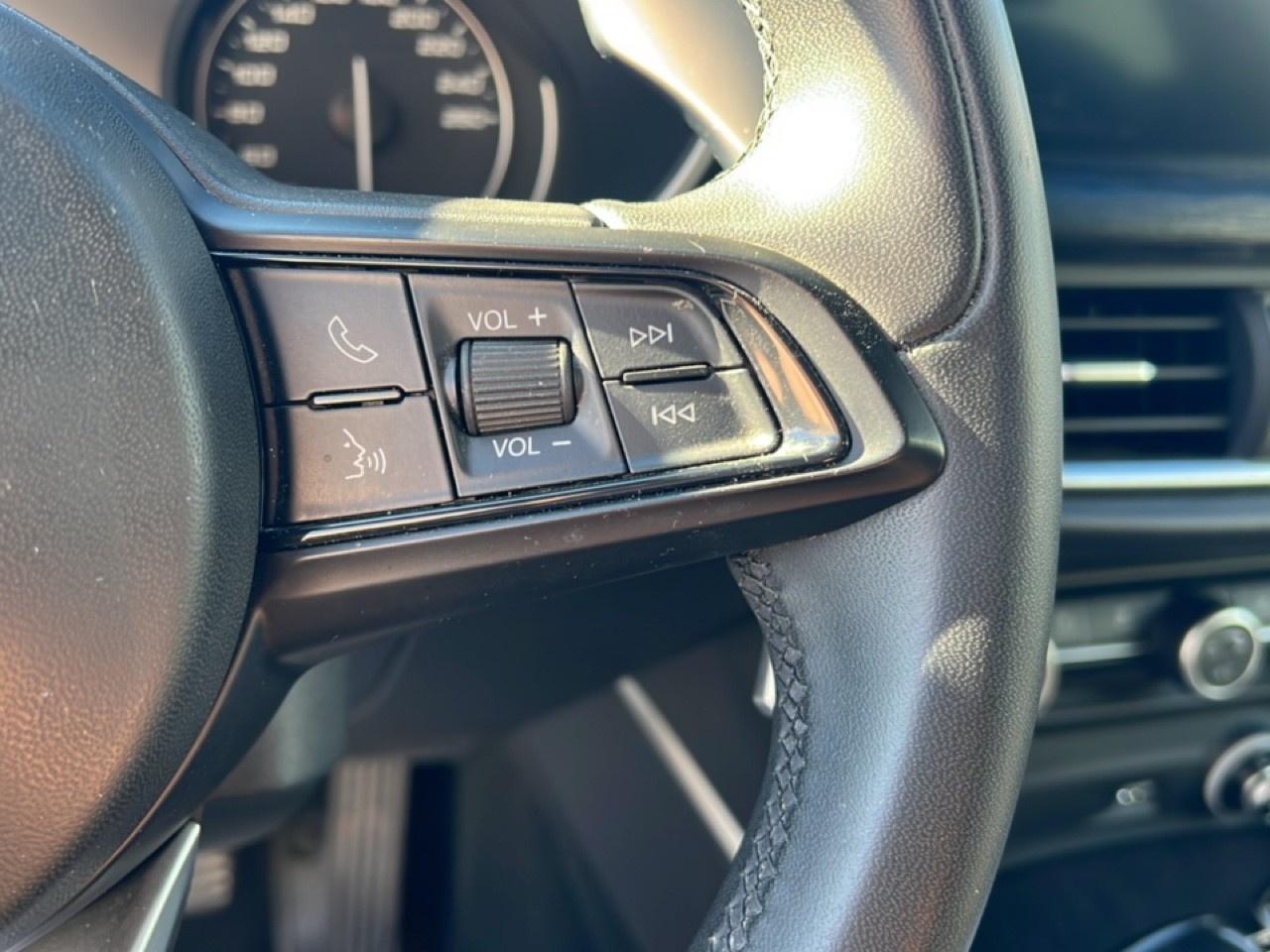 Alfa Romeo Alfa Romeo Stelvio usata 13