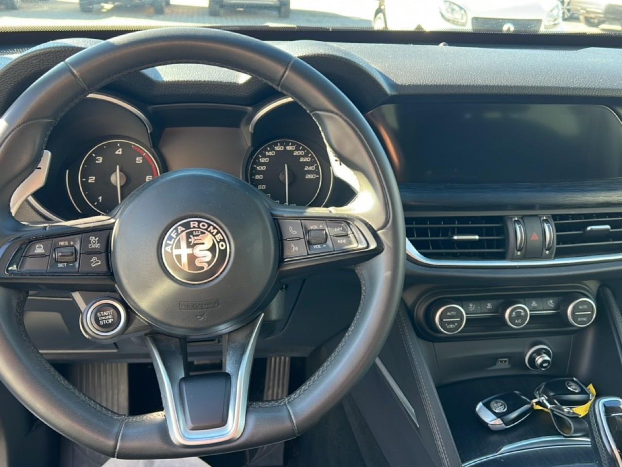 Alfa Romeo Alfa Romeo Stelvio usata 19