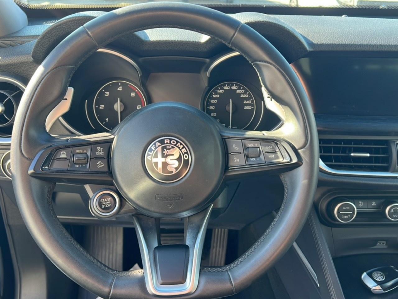 Alfa Romeo Alfa Romeo Stelvio usata 20