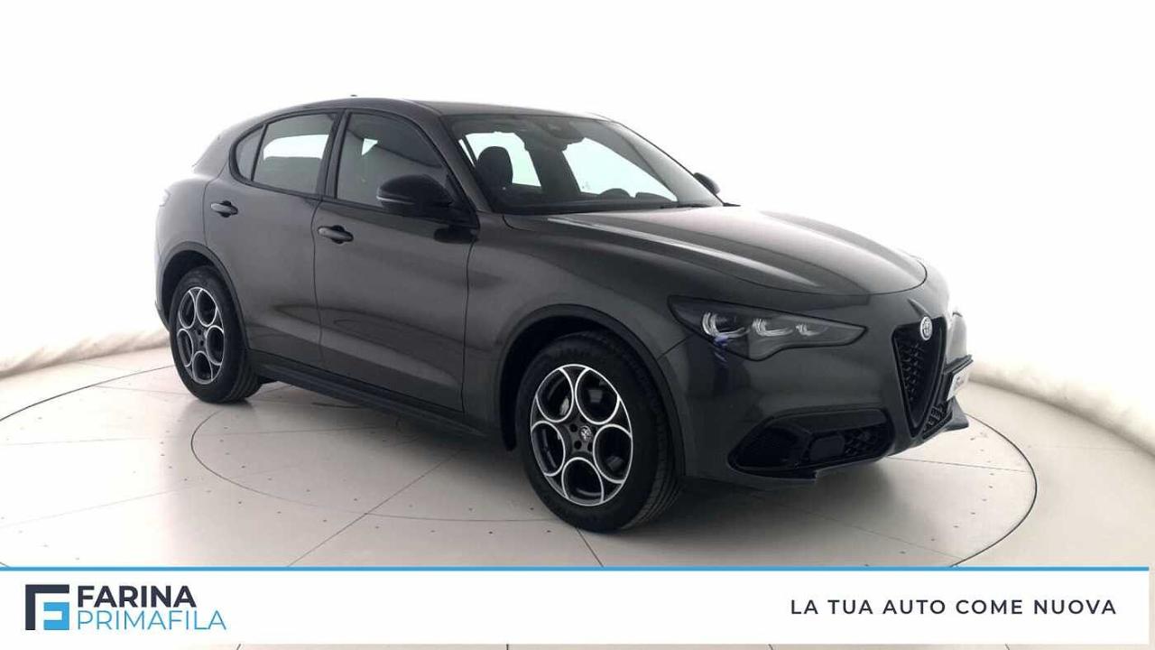 Alfa Romeo Alfa Romeo Stelvio usata 11
