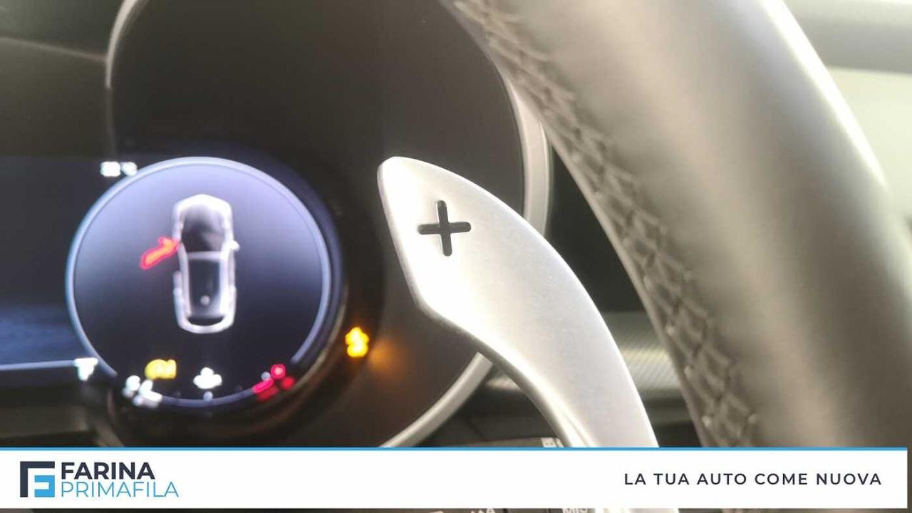 Alfa Romeo Alfa Romeo Stelvio usata 14