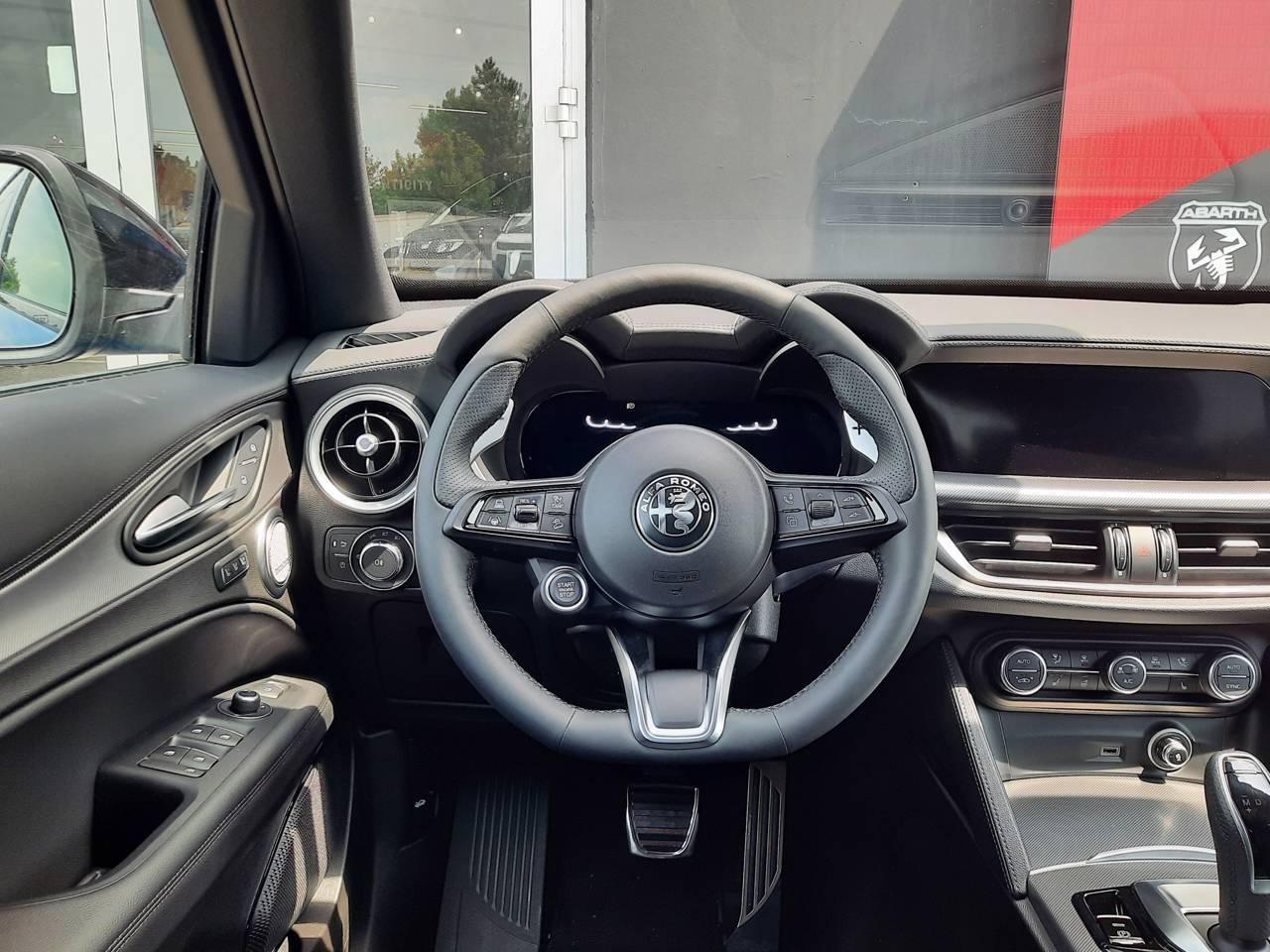 Alfa Romeo Alfa Romeo Stelvio usata 28