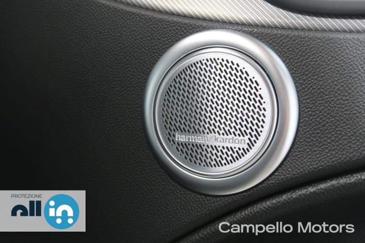 Alfa Romeo Alfa Romeo Stelvio usata 13