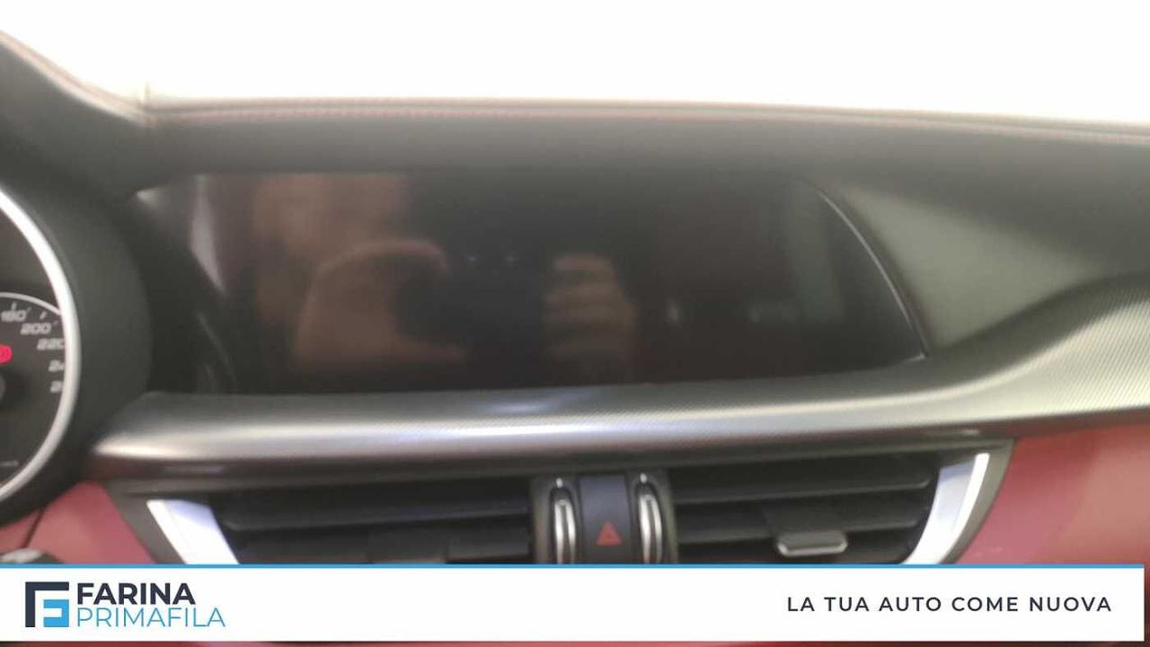 Alfa Romeo Alfa Romeo Stelvio usata 6