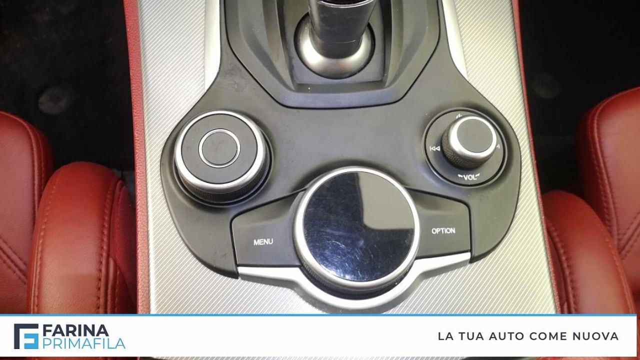 Alfa Romeo Alfa Romeo Stelvio usata 9