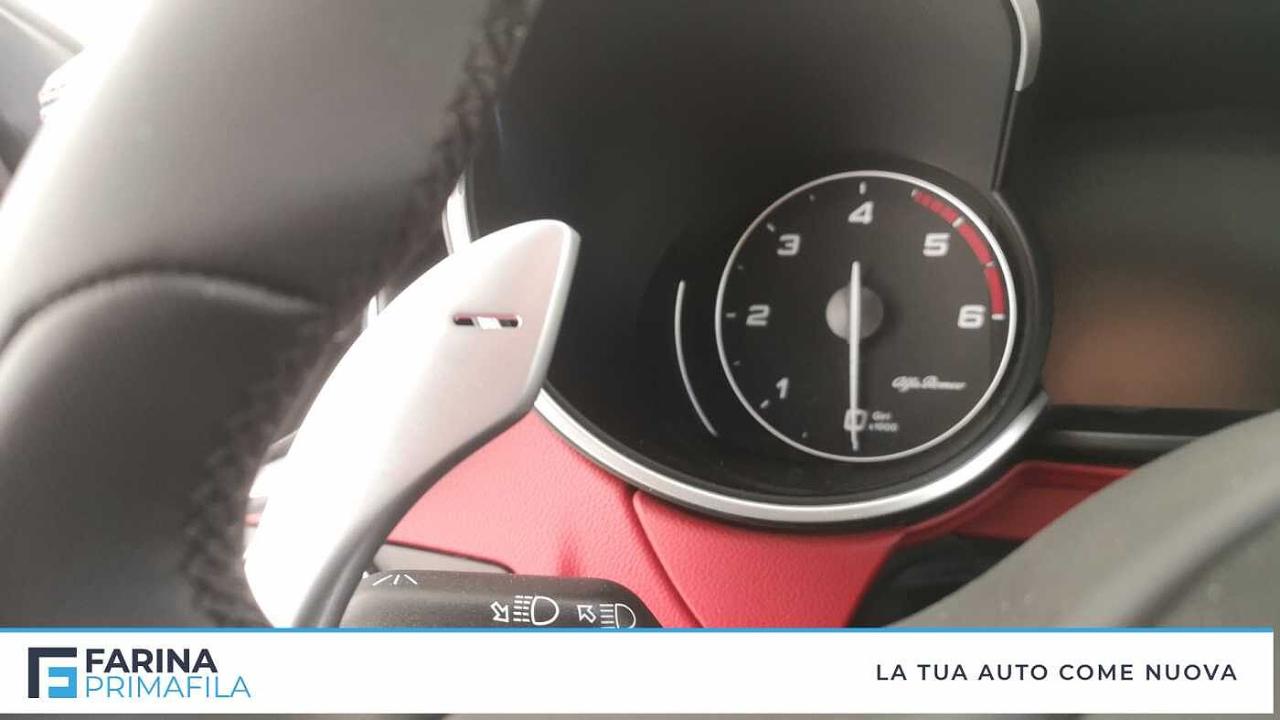 Alfa Romeo Alfa Romeo Stelvio usata 13