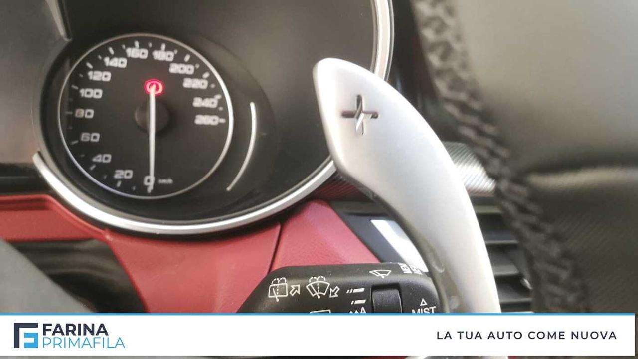 Alfa Romeo Alfa Romeo Stelvio usata 14