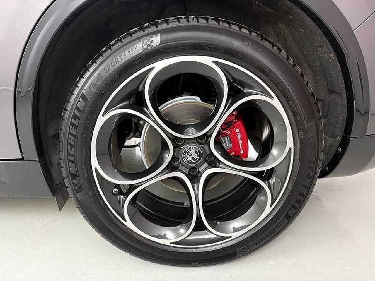 Alfa Romeo Alfa Romeo Stelvio usata 21