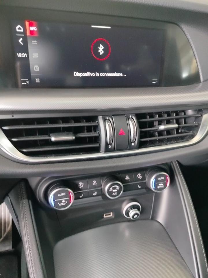 Alfa Romeo Alfa Romeo Stelvio usata 27