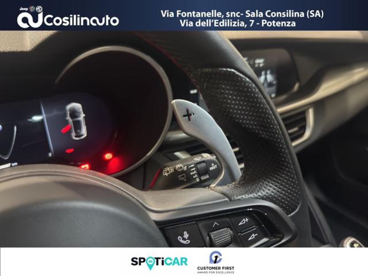 Alfa Romeo Alfa Romeo Stelvio usata 5