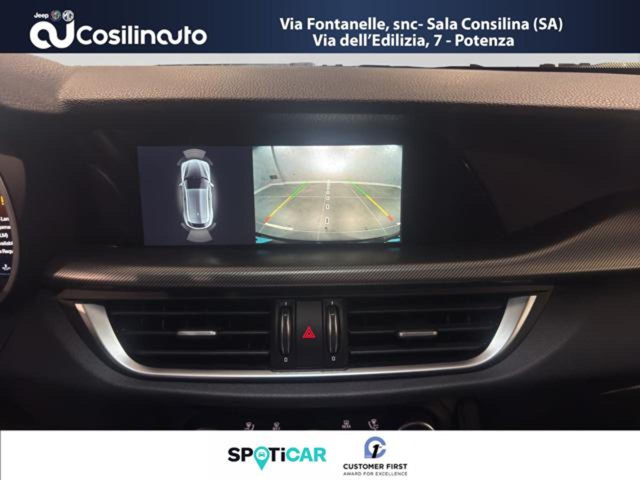 Alfa Romeo Alfa Romeo Stelvio usata 6