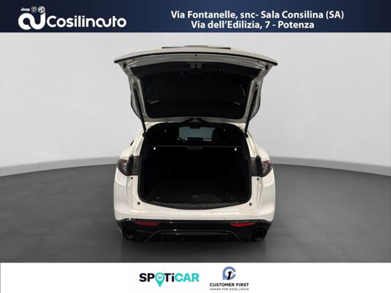 Alfa Romeo Alfa Romeo Stelvio usata 7