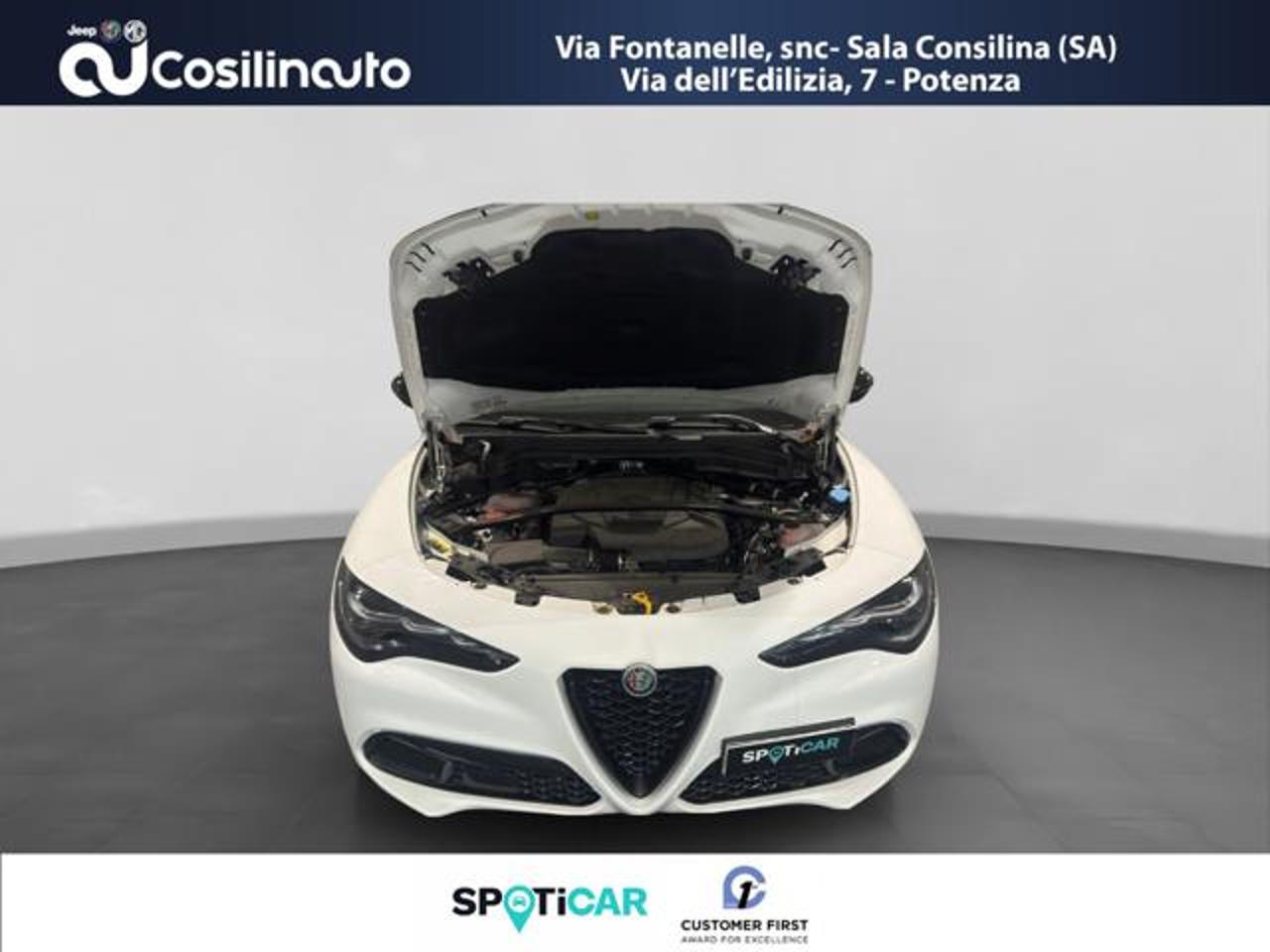 Alfa Romeo Alfa Romeo Stelvio usata 8
