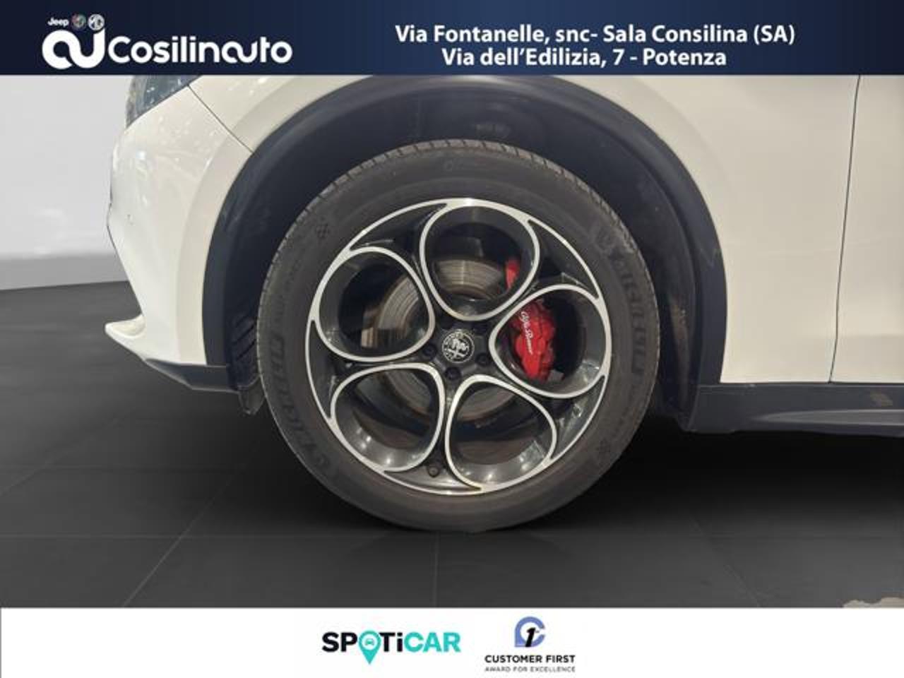 Alfa Romeo Alfa Romeo Stelvio usata 9