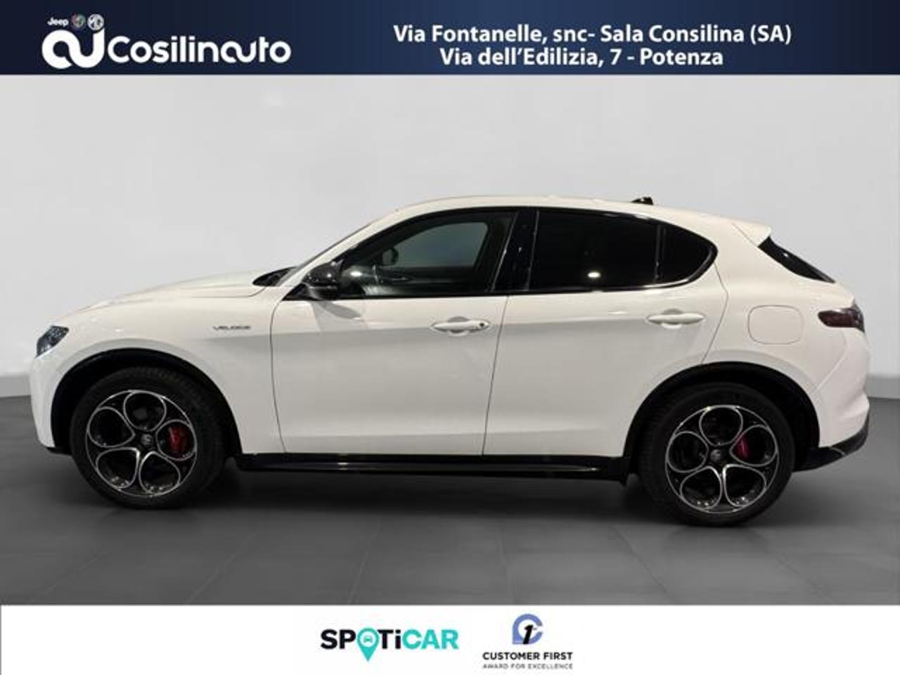 Alfa Romeo Alfa Romeo Stelvio usata 11