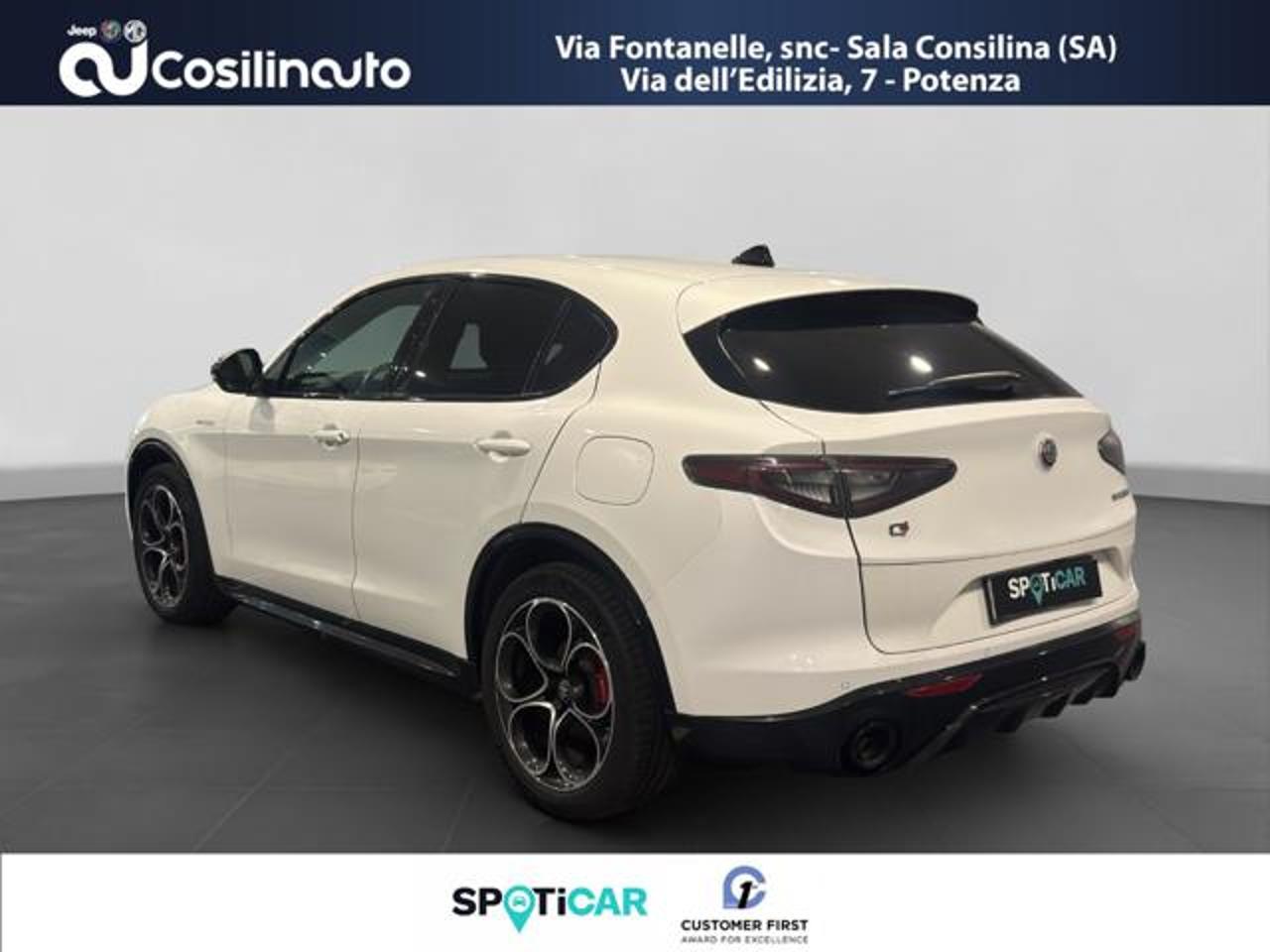 Alfa Romeo Alfa Romeo Stelvio usata 14