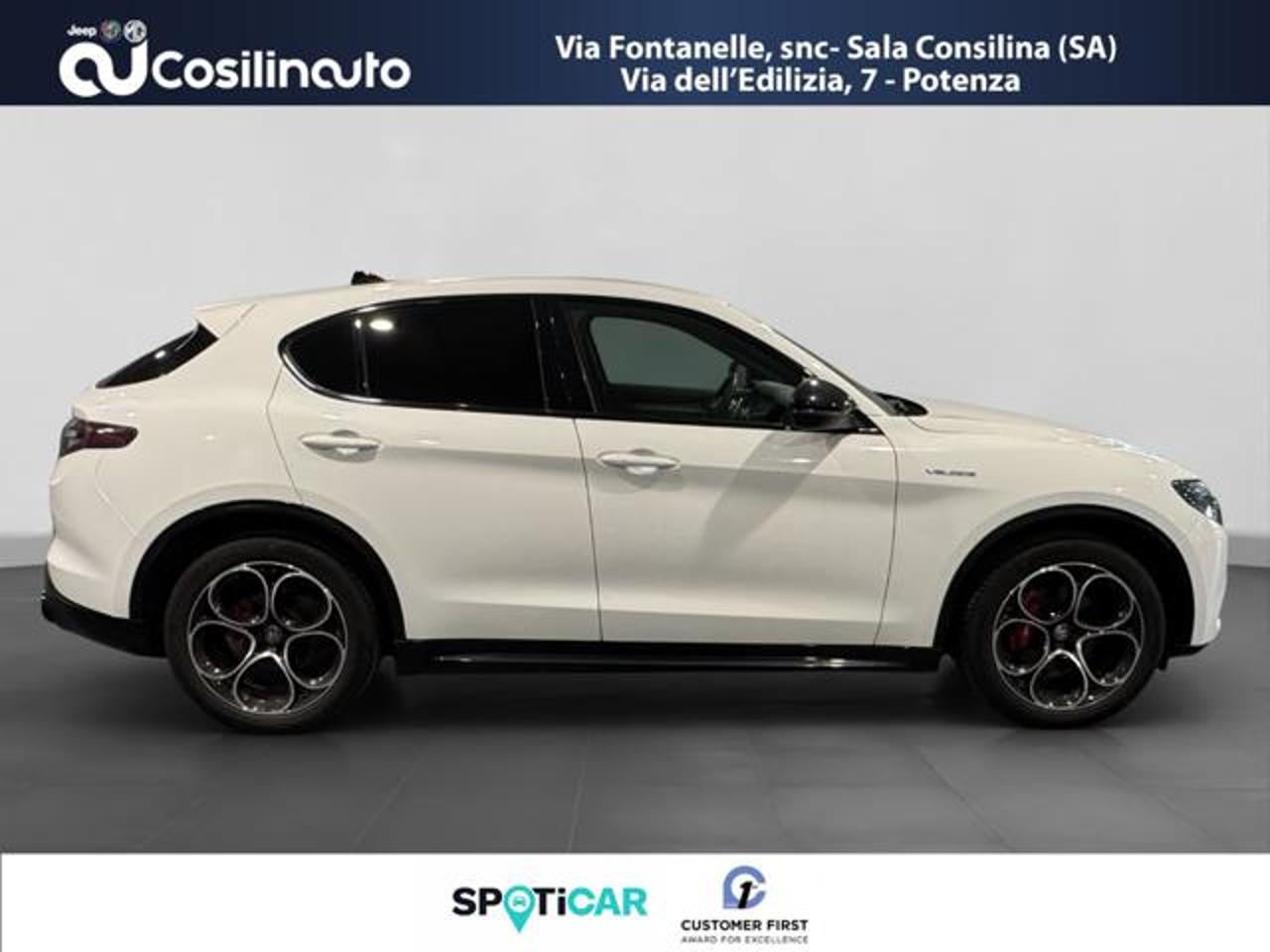 Alfa Romeo Alfa Romeo Stelvio usata 17