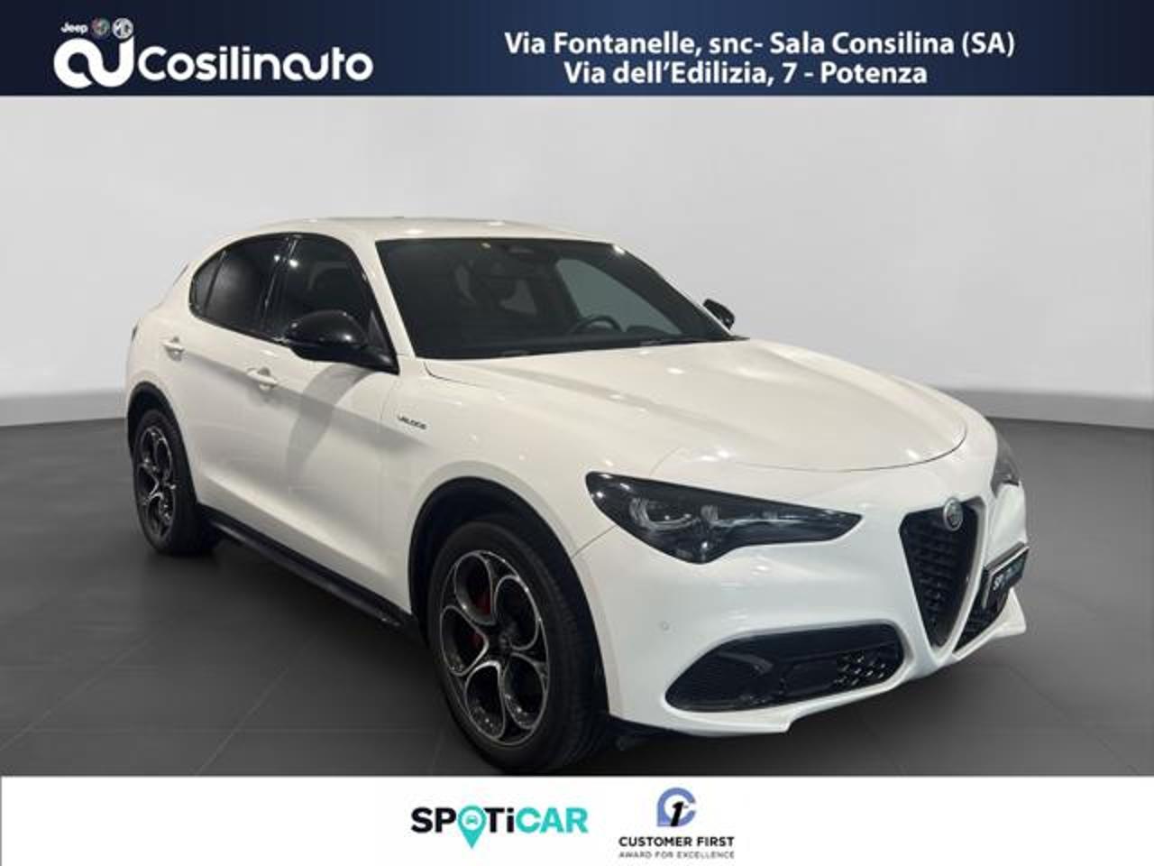 Alfa Romeo Alfa Romeo Stelvio usata 18