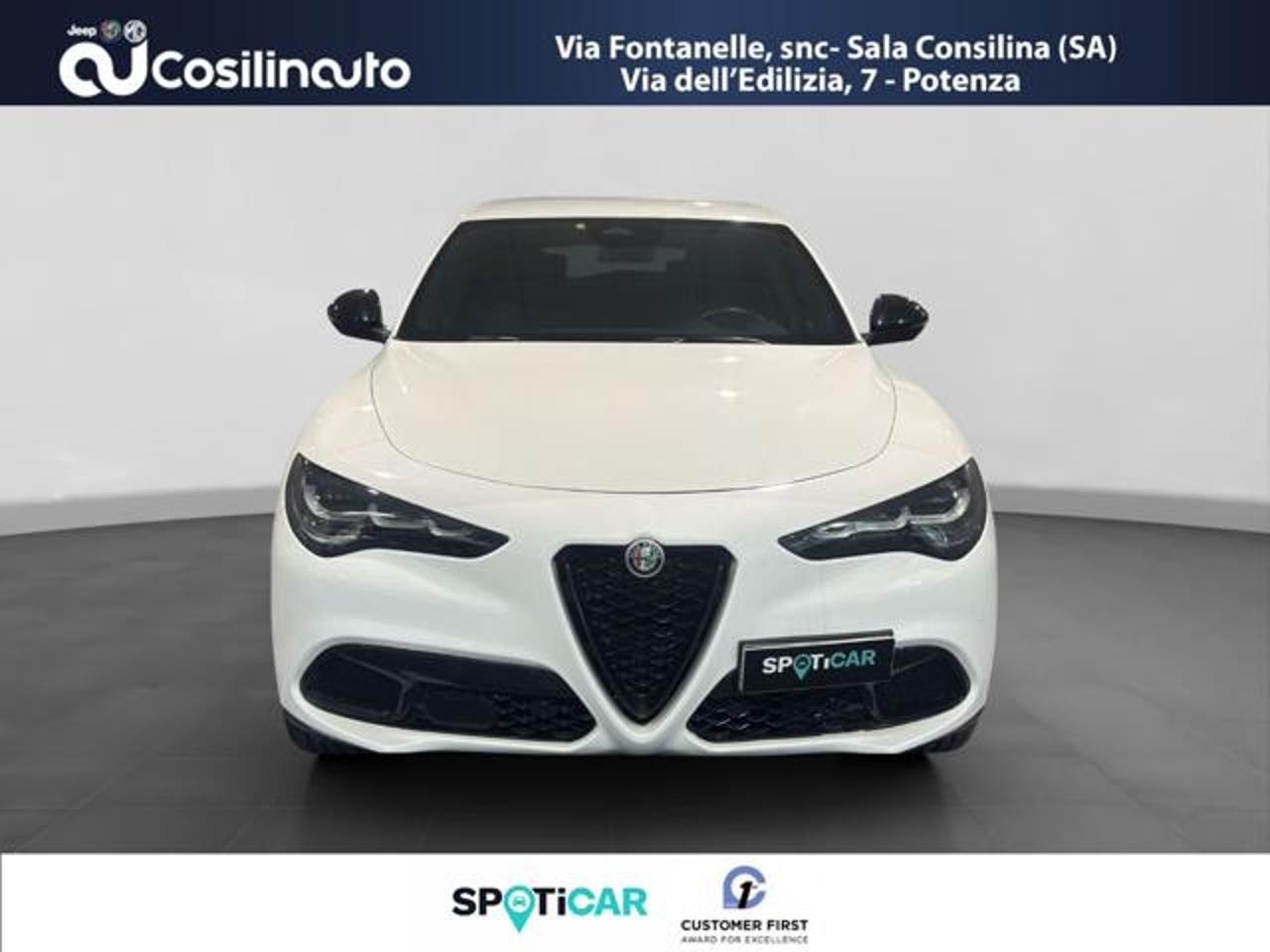 Alfa Romeo Alfa Romeo Stelvio usata 19