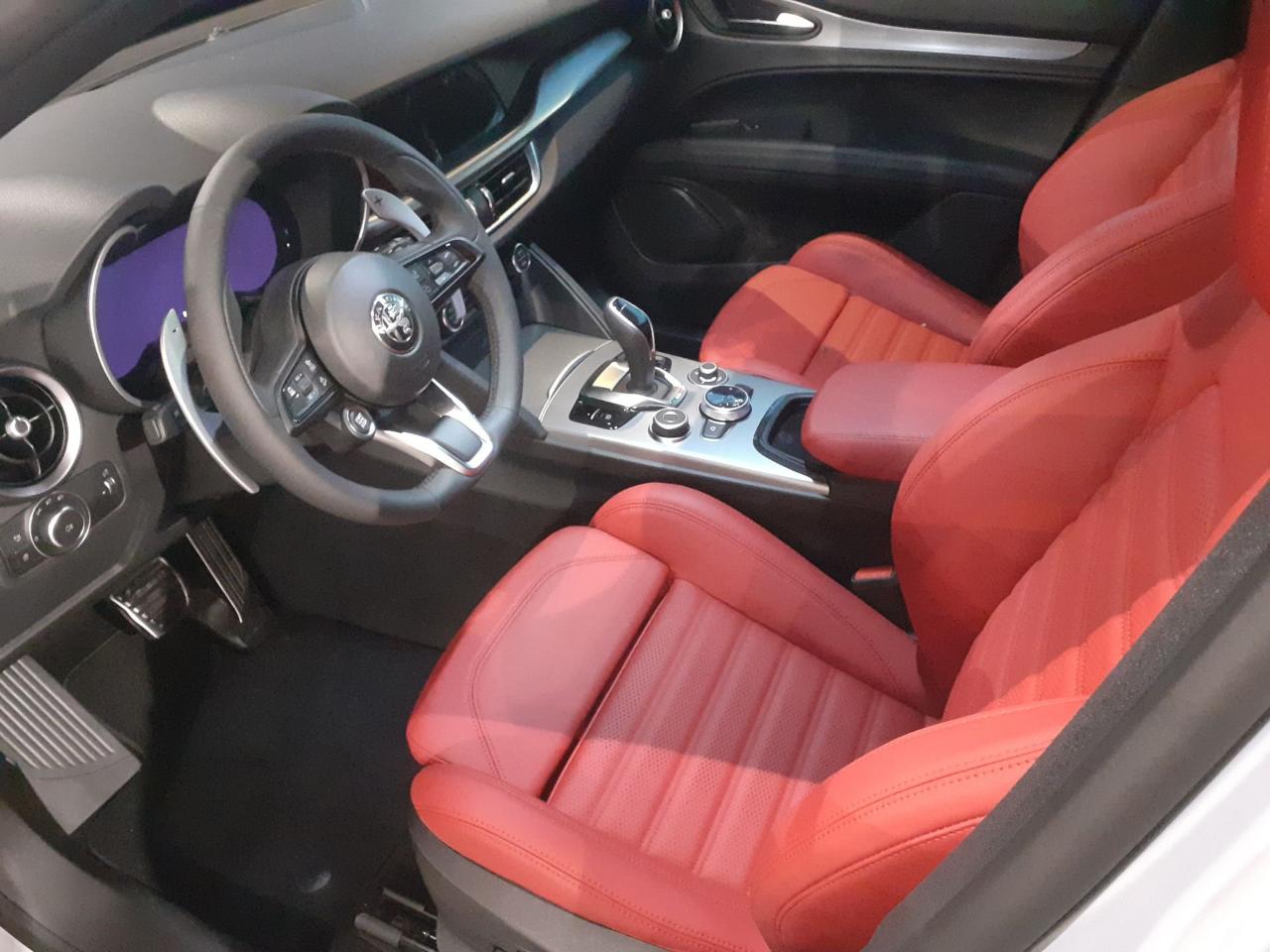 Alfa Romeo Alfa Romeo Stelvio usata 6