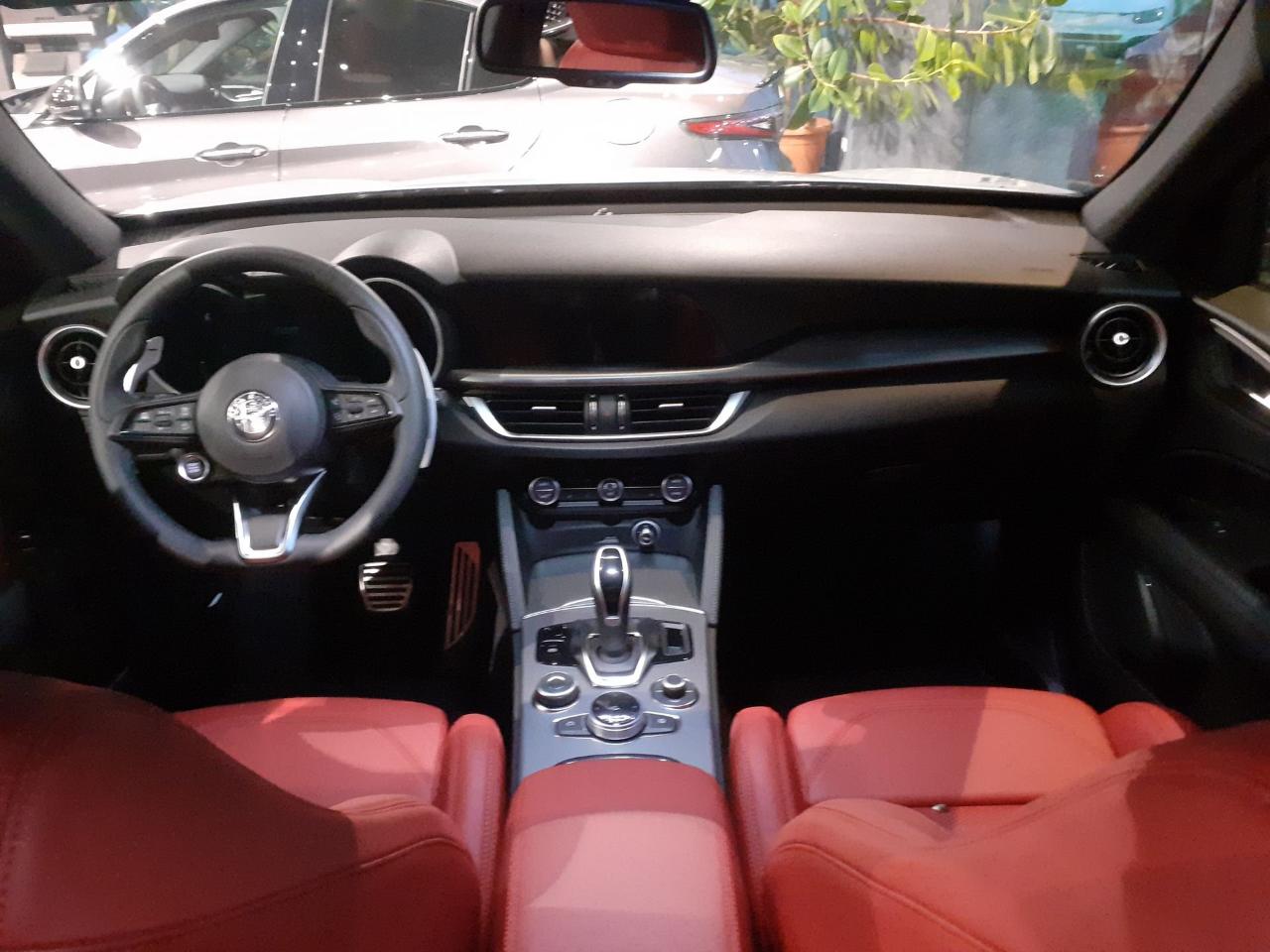 Alfa Romeo Alfa Romeo Stelvio usata 8